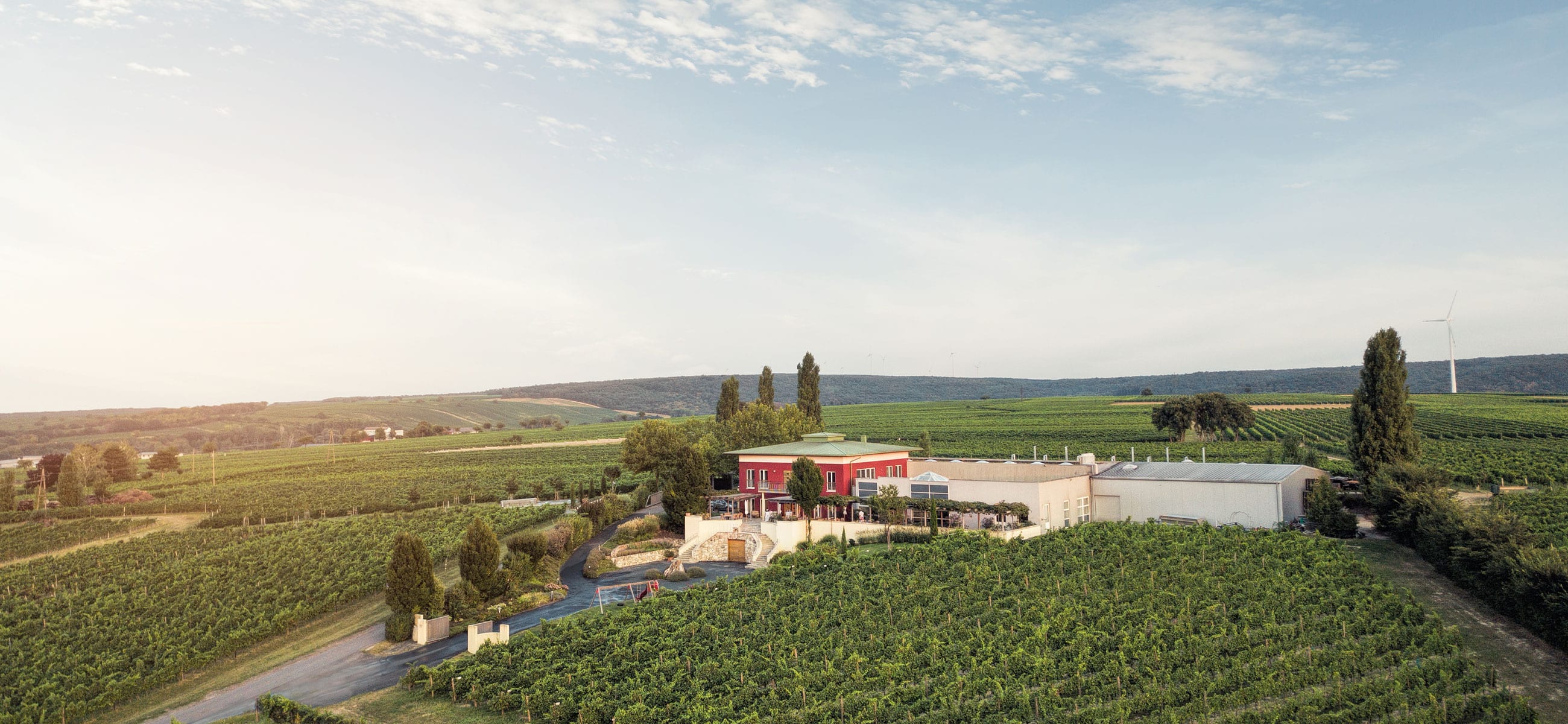 Blick auf das Weingut Kirnbauer