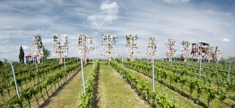 Blick auf das Weingut Scheiblhofer