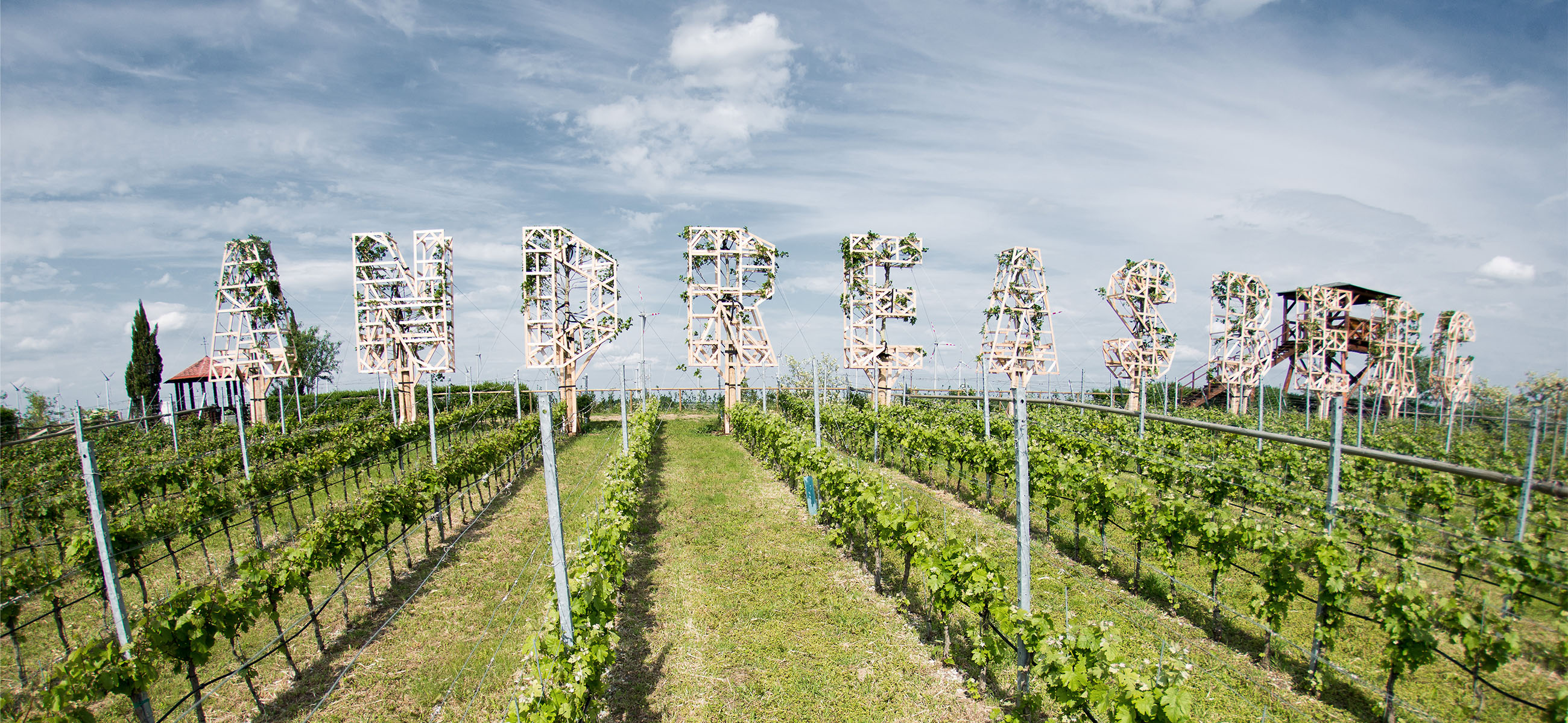 scheiblhofer_hero Blick auf das Weingut Scheiblhofer